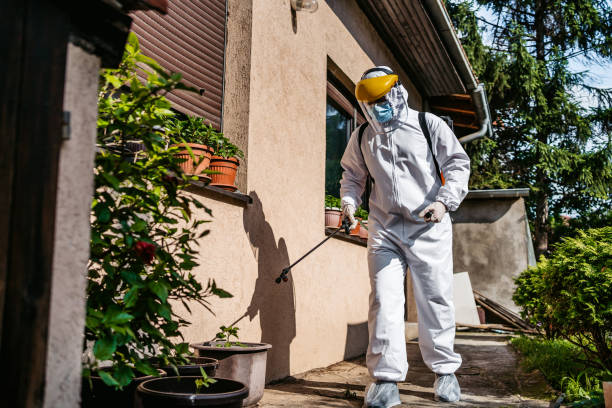 Wasp Removal Services in Key Biscayne, FL