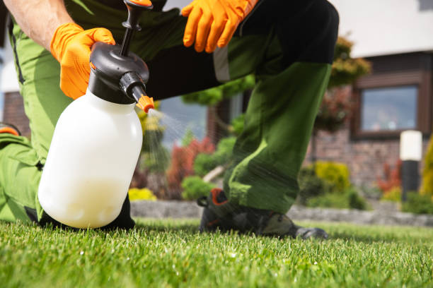 Best Pest Control Near Me in Key Biscayne, FL