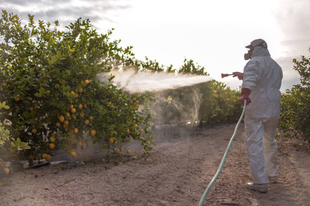 Best Affordable Pest Control Services  in Key Biscayne, FL