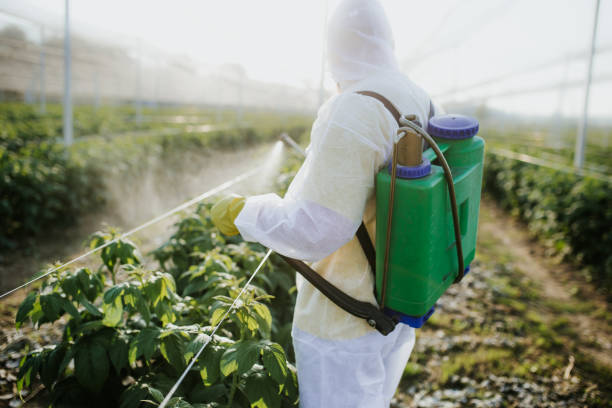  Key Biscayne, FL Pest Control Pros